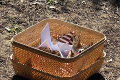 IMG-20251003-WA0431