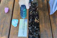 IMG-20251003-WA0228